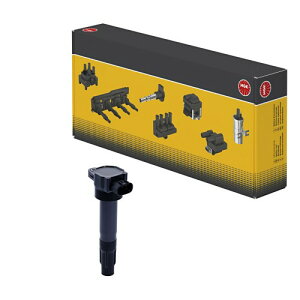 ���{���ꓩ��(NGK) �_�C���N�g �C�O�j�b�V�����R�C�� (48749) 1�{ U5228 �X�Y�L �X�C�t�g �� ������ ��C ���� ���i