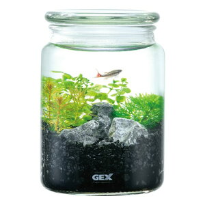 GEXWFbNX {gE lC`[Zbg ubN