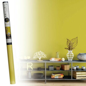 erH ͂ǎ w}X^[hx 90cm×2.5m V[  Vv { DG ̃t ͂ܕsv  e[N ݑΖ erc JK-9061