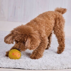 AhCg (ADD. MATE) p Enjoyރ{[ Or[