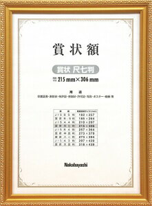 iJoV ؐ܏z PV ܏ ڎ t-KW-203-H (ItBXpi)