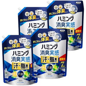 n~O L _ EL^Cv VgX̍ ߂p 2,530ml×4 e