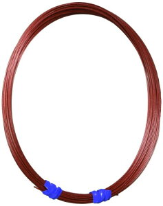 mx_[Y (TAIYO VENDORS) nX J[C[VL[ C[ 10m #38s 25kg 19{ 