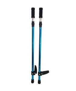 Y(Toho) |n u[TCY  AJX^C ST-60503