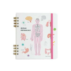 O[tbV m[g STUDY HOLIC Om[gEXNGA lސw ST-271