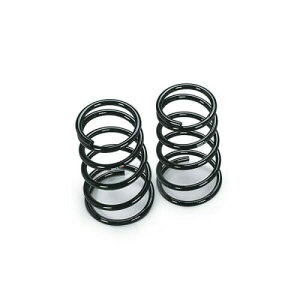 RS-R ( �A�[���G�X�A�[�� ) �_�E���T�X RSR DOWN �N���E�� JZS175 T248DR