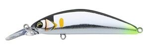 WbJ(JACKALL) eB gR[ GT 72DR-F ǈk