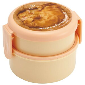 XP[^[(Skater) ٓ R 2i `{bNX tH[Nt ی^ ɂ P[X 500ml { WΉ YƂȂ ONWR1AG-A