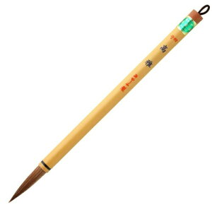  M M  4 p PL-204