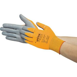 UVEX (ExbNX) tBm~bN GbNXtH[ HV S 6005467 ׂ~ߔw