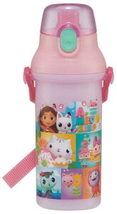 XP[^[(Skater)  qp  480ml vX`bN ^b` H@Ή { Mr[̃h[nEX ̎q PSB5SANAG-A