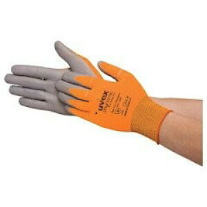 UVEX (ExbNX) tBm~bN GbNXtH[ HV XS 6005466 ׂ~ߔw