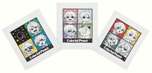 XP[^[(Skater) ڂ ^I 3Zbg Jts[` 25 OAC1T