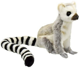 BH7356 ハンサ(HANSA) ワオキツネザル 24