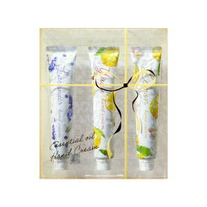 fC[A} nhN[ ZbgA (20g×3{) fC[A}Wp VgX kn x_[ n[u t[ { ێ nhPA Mtg v[g nhPA 