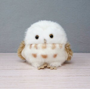 �����f�U�C�������� �킽�� �ʂ�����݃V���[�Y (�ӂ��낤)