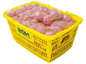 Lucent([Zg) AJG{[JS(FKi) s[`bh 10_[X(120) M-30130 s[`bh