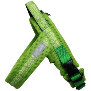 Hakusan(nNT) WXgtBbghSn[lXEAnbV (}XJbgAn, TCY00)