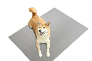 ybĝ߂̂h}bg O[ 60cm×90cm INAM-01 GY