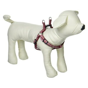 yeBI (Petio)  n[lX bh SS TCY