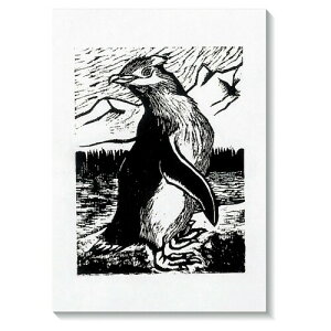 A[ebN ŉa 60kg ʉŗp () 8 20800