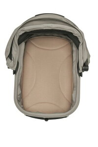 AIRBUGGY WIZ X MAT MOCHA AD9089 GAoM[EBYGbNXp}bg J h ӂSn