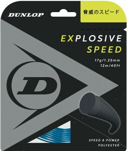 _bv(DUNLOP) ejX dejX GNXvbVuEXs[h P 12m u[ 1.30mm DST11021