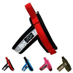 Hakusan(nNT) IWin[lXWXgtBbghSn[lX (TCY1, bh×ubN)