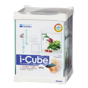  i|Cube ACEL[u zCg ^ KX