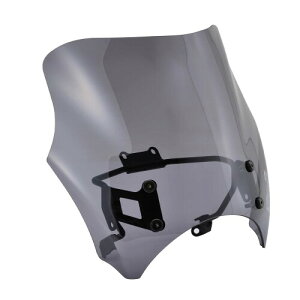 fCgi(Daytona) u250/500(20-21)p XN[ uXgoA[ X[N 24477