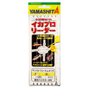 }V^(YAMASHITA) CJv[_[ 6-5