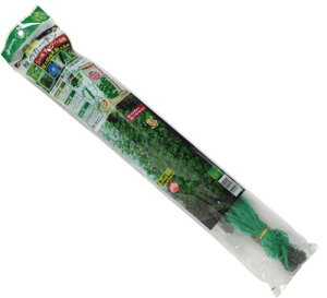 rj[ ΂̃J[e5m݉ W800X5m