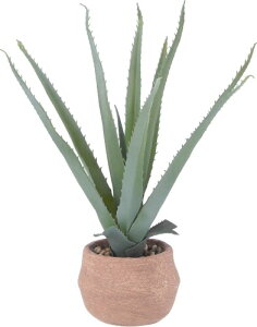 sf tFCNO[ CeAO[ lHϗtA 32×s35×42cm AG STCY  Zg|bg 41134