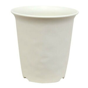 avX`bN m[~BnC|bg 8 6.0L AC{[