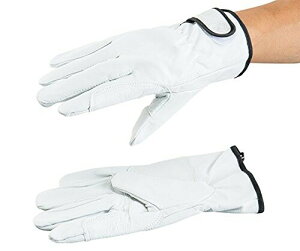 (AY) AYc[؃}WbN NXg 3-8223-01/AT-LG01-P