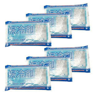 アサヒ興洋 保冷剤 S 6個セット 10×16cm 保冷効果 5~6時間 防カビ 抗菌加工 お弁当 長時間保冷 日本製 IC-01