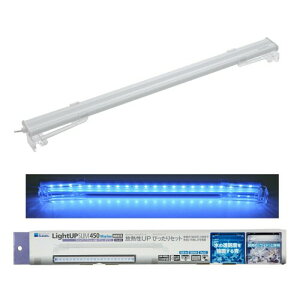  CgAbv SLIM } 450 zCg 45-55cmp