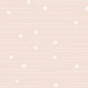 ^J bsOy[p[ 49-1524 ԕ t[^[P ˔ 50 sN