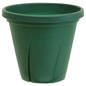 avX`bN ͂蔫 3 0.15L _[NO[