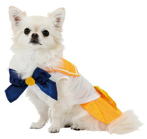 yeBI (Petio) LyeB mZ[[[ Ȃ肫EFA Z[[B[iX ybgp SS TCY