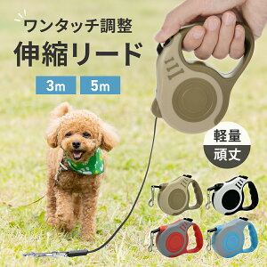 �� ���p ���[�h �L�k 3m 5m �L�k���[�h ���p���[�h �y�� �����O ���^�� ���^�� ��^�� �����^�b�` ���b�N �L�k�� ������� �����L�k ����������� �h�b�O���[�h ���킢�� ������� ���� �C�k �l