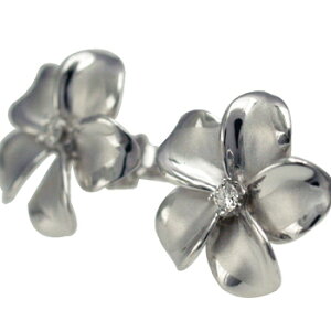 nCAWG[ sAX CO 14k S[h vA_ChsAX fB[X S[h vA