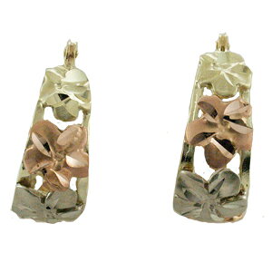 nCAWG[ sAX CO 14K S[h gCJ[ t[vvAsAX fB[X S[h t[vsAX nC