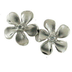 nCAWG[ sAX CO 14K S[h vA_ChsAX fB[X S[h nC