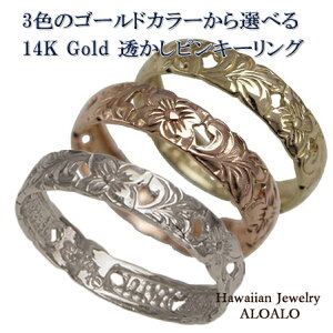 nCAWG[ O S[hO sL[O 3F̃S[hJ[Iׂ铧3.5mm Y fB[X w nC 14K S[h 0-14