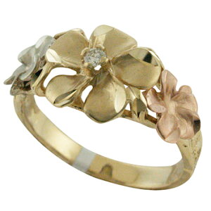 nCAWG[ O S[hO _ChvAO fB[X w nC 14k S[h gCJ[ _Ch 2-25