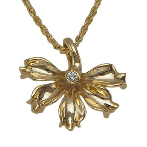 nCAWG[ lbNX y_g gbv 14K S[h r[`iEpJgbv fB[X _Ch CG[S[h