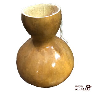 t Cv y tpi STCY MTCY LTCY PCLTCY t_X tTvC Hula nCA O[vI[_[