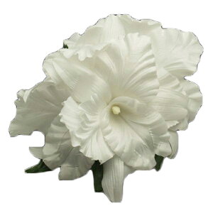 nCA wANbv t t_Xߑ S[WXI[LbhwANbv LTCY zCg