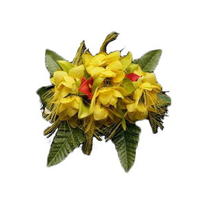 nCA wANbv t t_Xߑ InCAC/o_I[LbhwANbvyCG[z